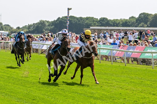 130625-Race 2-Carnation Queen-8634 - Race 2 2.25pm Coopers Marquees Rous Selling Stakes