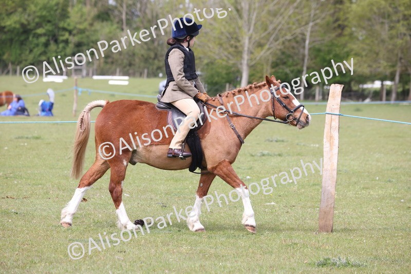20260426-2884 - Class 33 - Best Pony 14.2hh and Under