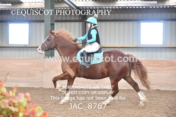 JAC_8767 - CLASS 2 - ARENA EVENTING PONY CLUB QUALIFIER 70CM