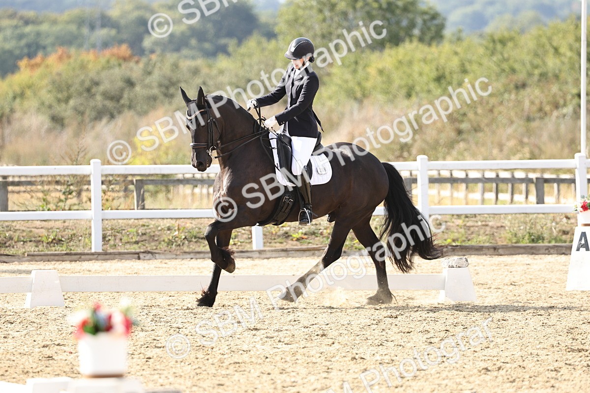 SBM_015410 - Class 9 - Advanced medium 3