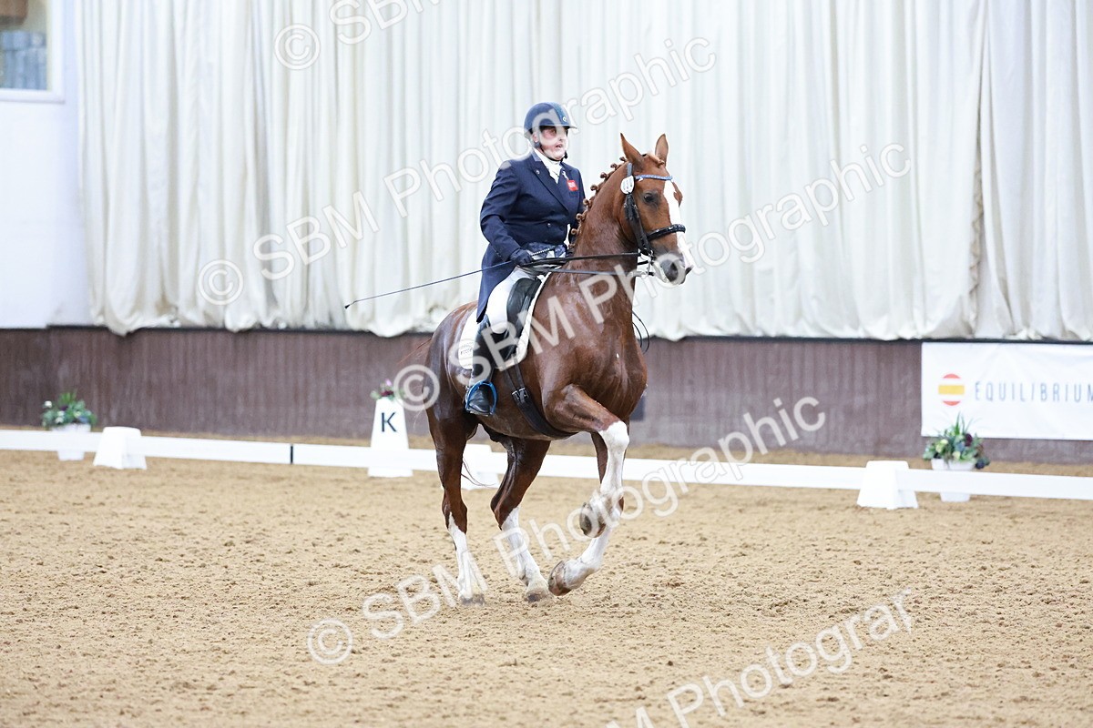 SBM_021273 - Class 14 - FEI Grand Prix - 17.40-18.34