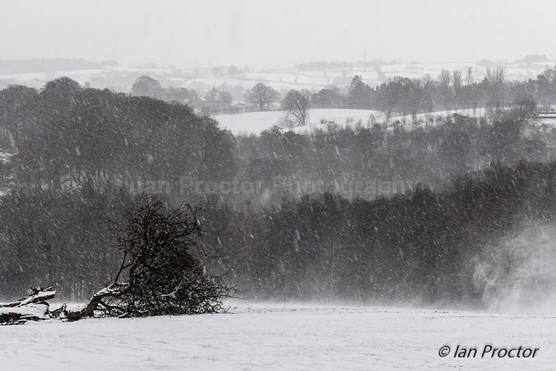 Whipping up a storm at Barnett Demesne - Winter