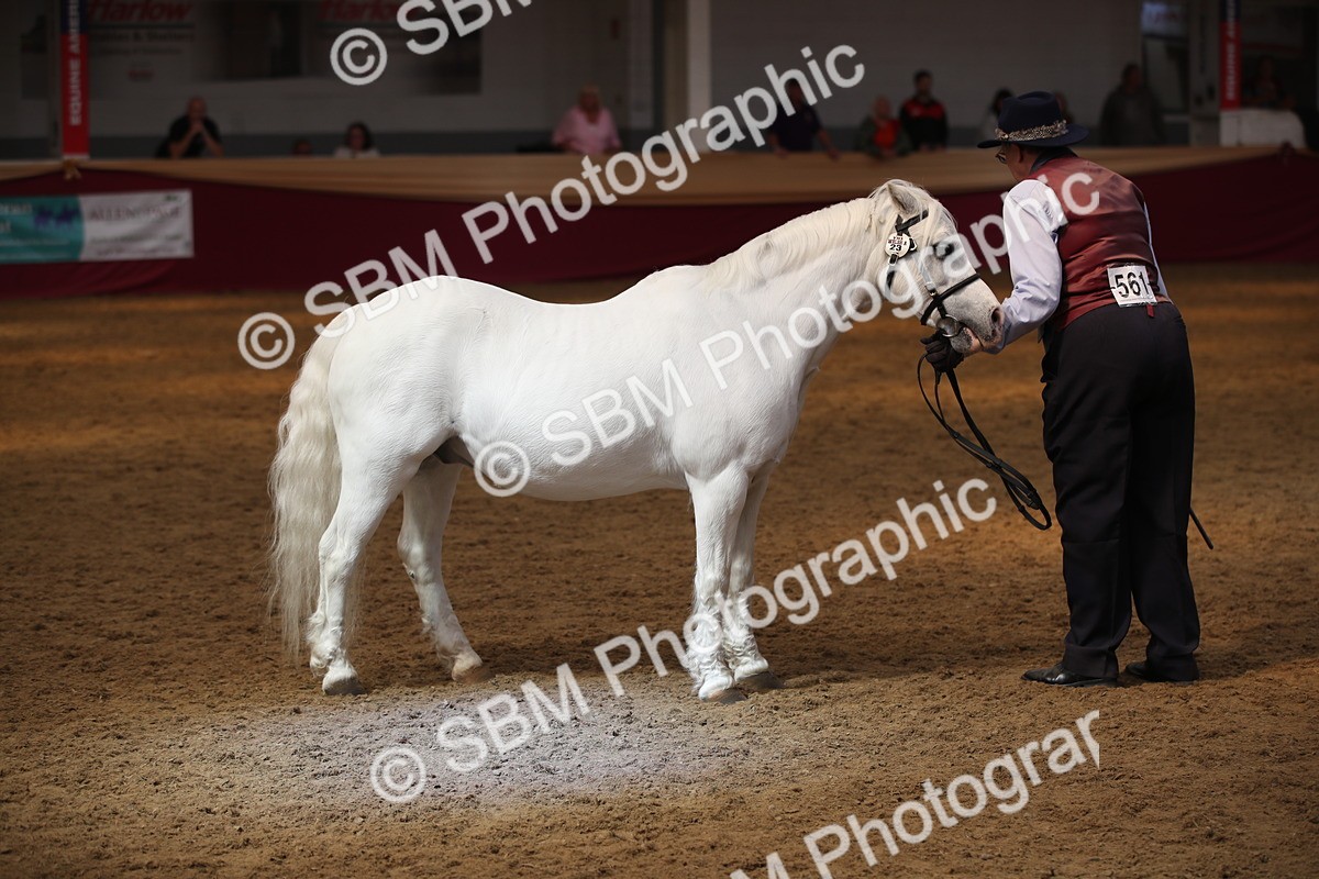SBM_05382 - Class 8R - Regional IH Veteran