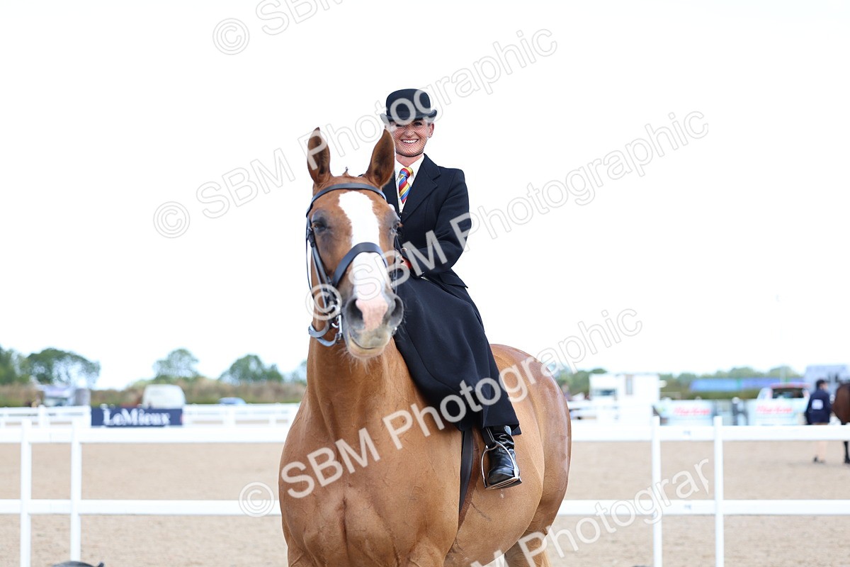 SBM_11228 - Class 306 - Ridden Foreign Breeds - Part Bred