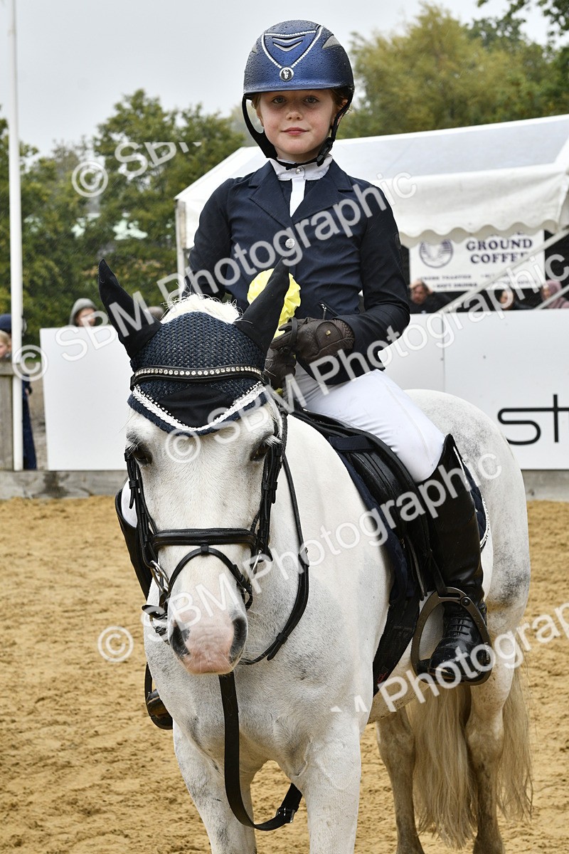SBM_71011 - J3 - Mini Tour Junior Pony 40cm championship