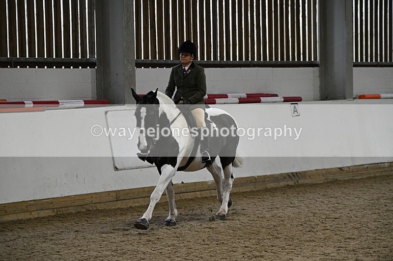 WJ7_4073 - Class 17 Ridden Cob