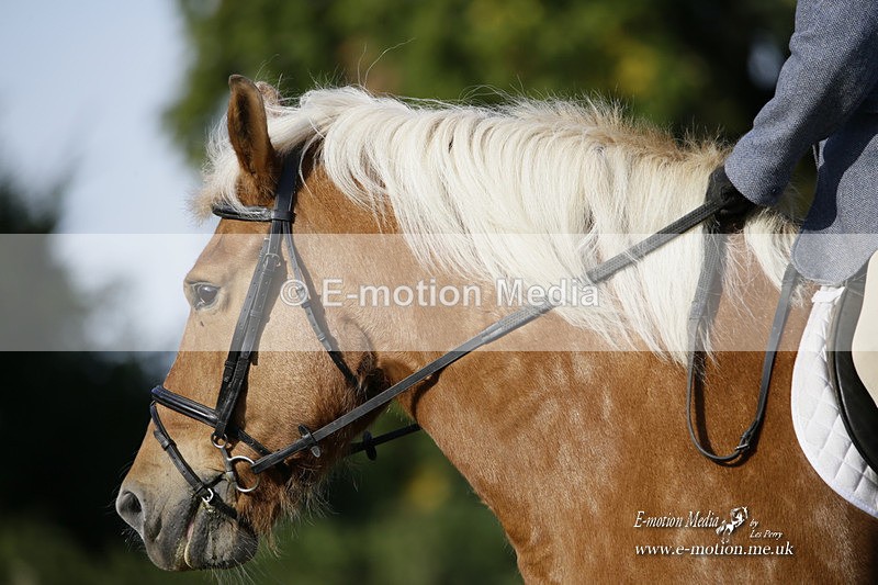 BVRC 120921 86 - Bourne Valley Riding Club UA Dressage & Show Jumping 12/09/21