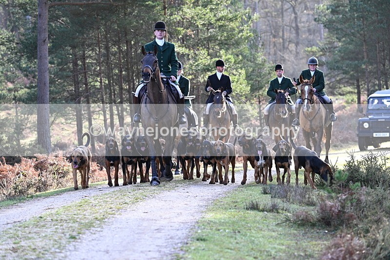 WJ7_7656 - Line 3 (no line 4 or 5)