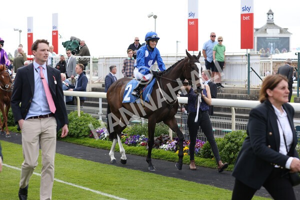 yr11062022r2-52 - Race 2 2.00pm Queen Mother's Cup