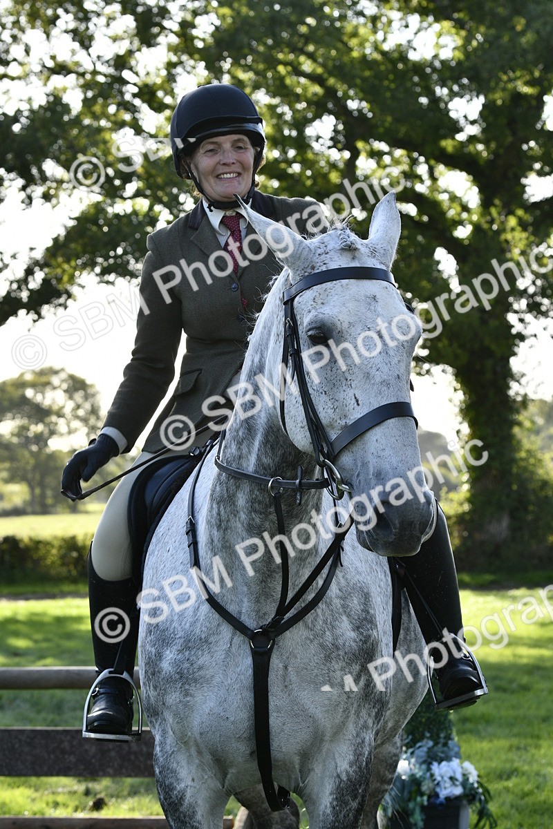 SBM_52249 - S35 - Working Hunter & Working Show Horse