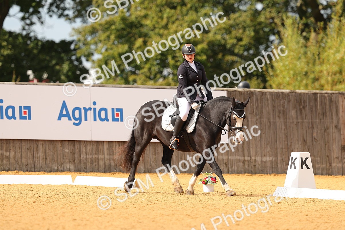 SBM_48190 - D22 - Junior Championship - Intro B