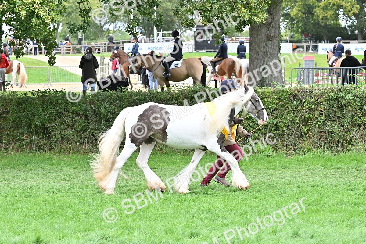 SBM_64972 - In Hand Pony & Younstock Supreme Championship