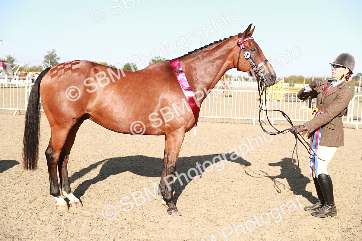 SBM_00104 - Class 40 Best Turned Out IH