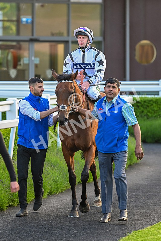 310524-Race 5-Dusk Dame-8962 - Race 5