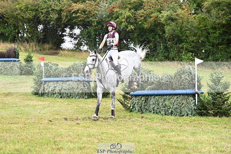 TS_b3341568 - SAT BE 90 Recovered Files fence 8