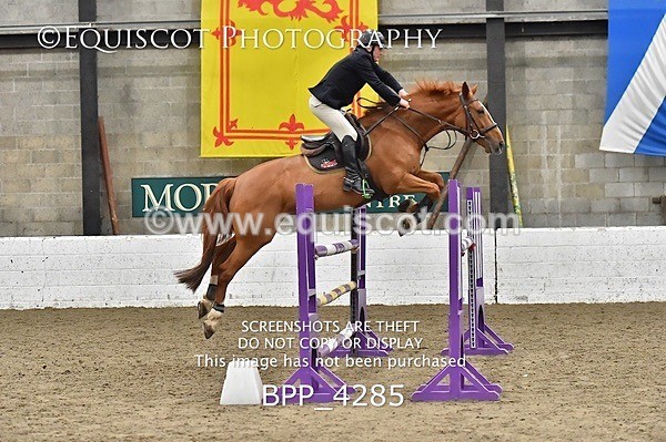 BPP_4285 - FRI CLASS 24 FOX/1.20M OPEN