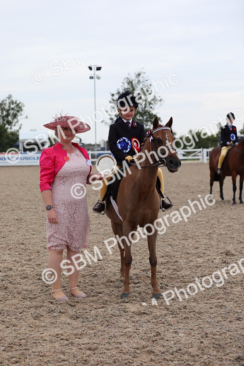 SBM_18221 - Class 316 Best Pony/Rider Combination