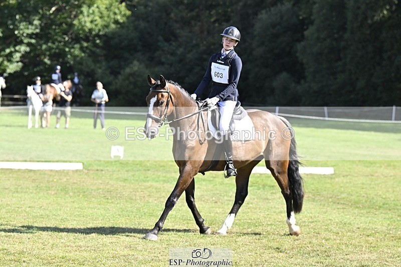 250822A-102931-20270 - DR 10.00 to 11.00