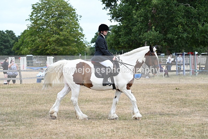 WJ7_1346 - Class 8 Ridden Veterans