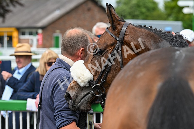 070624-Race 4-Alfa Kellenic-9913 - Race 4