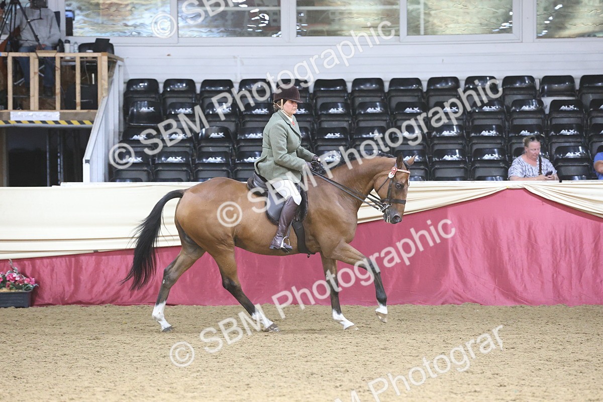 SBM_23813 - class 906 - Supreme Final - Ridden Pre Vet