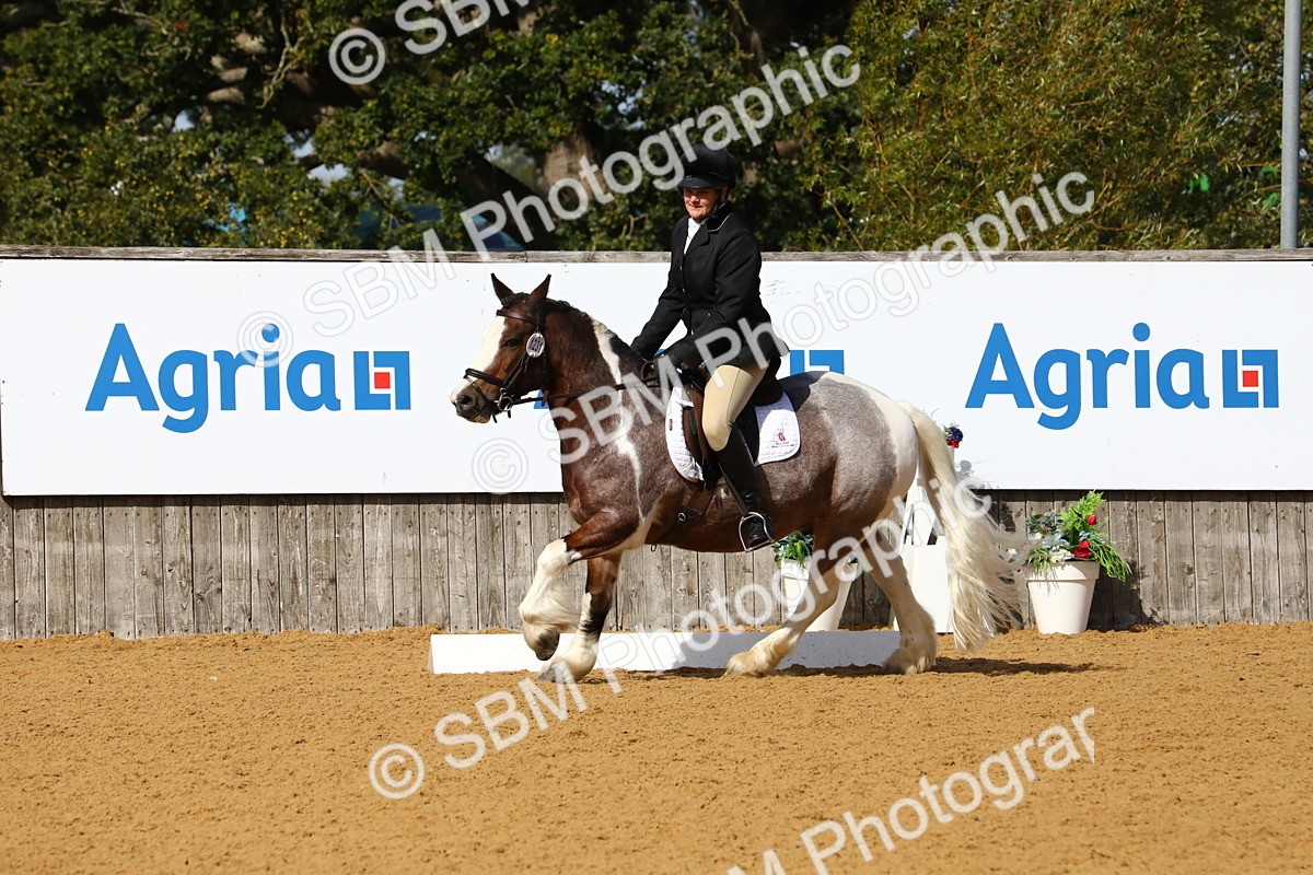 SBM_18391 - D31 - Grand Tour PYO Open .