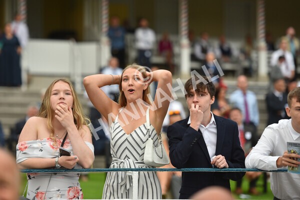 yr23072021r6-14 - Race 6 8.30pm Sky Bet Go-Racing-In-Yorkshire Summer Festival Stakes