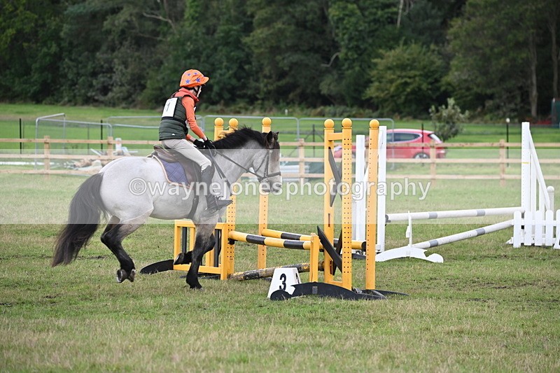 WJ6_1595 - 60cm Time 12:11 to 12:28