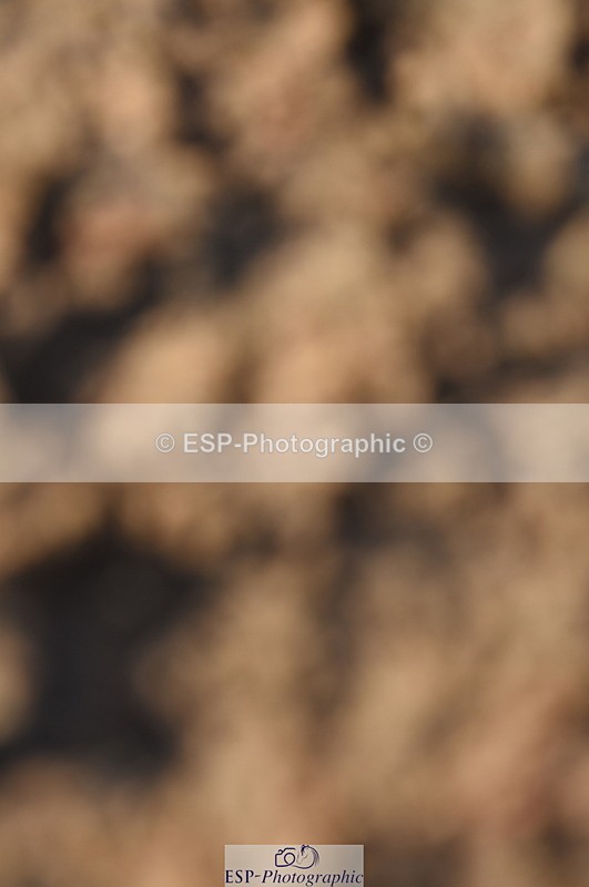 230915A-093452-00027 - Cls 8 85cm Amateur Qualifier