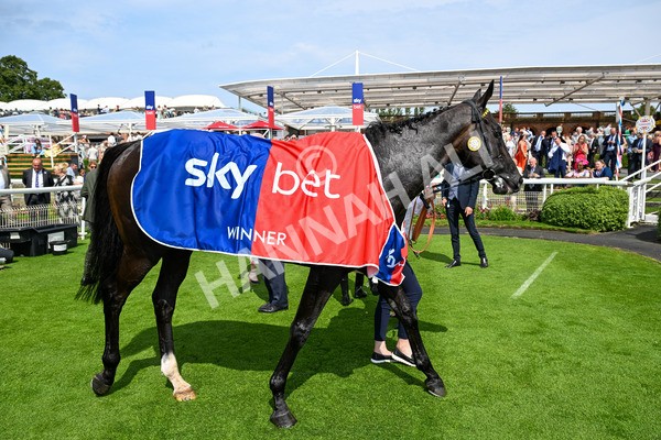 260725-Race 3-Royal Champion-0569 - Race 3 2.40pm Sky Bet York Stakes