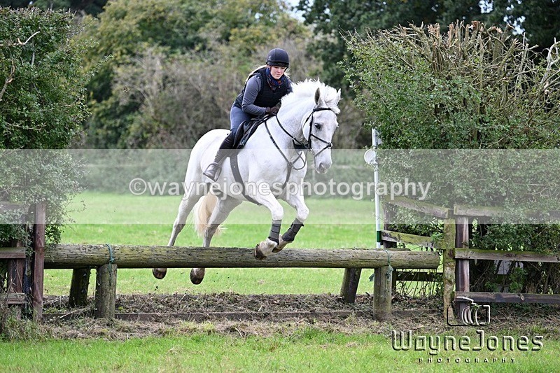 WJ7_0503 - Edited examples