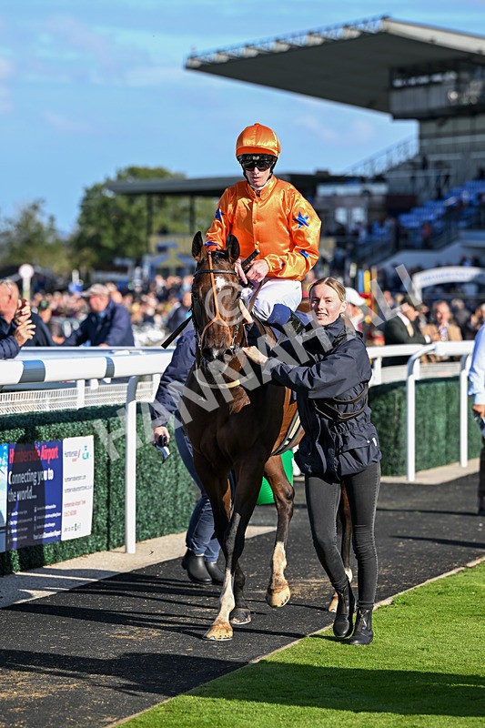 230925-Race 4-Elegant Erin-0700 - Race 4