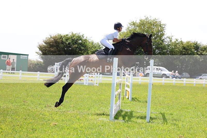 3E7A1308 - Class 12: Senior Foxhunter/1.20 open