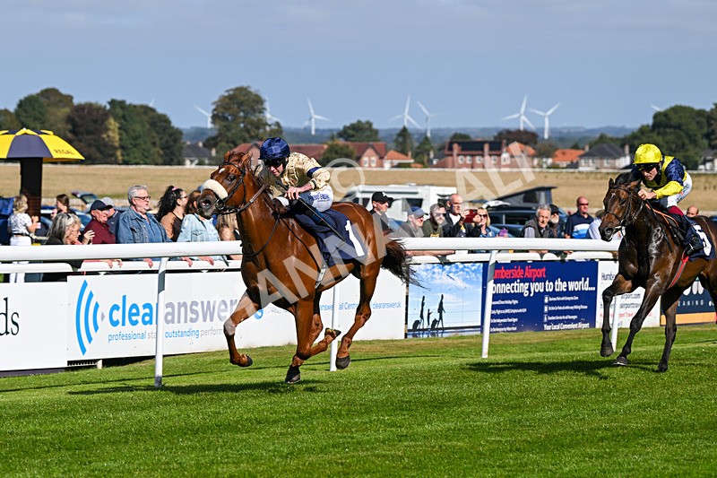 180924-Race 2-American Style-3959 - Race 2