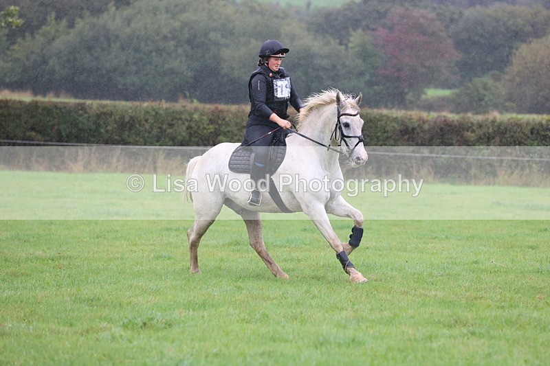 JPP_5100 - Class 1: 65cm : Showjumping