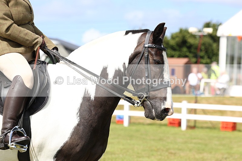 3E7A9952 - Class 5: Rising Star Lightweight/Heavyweight Cobs