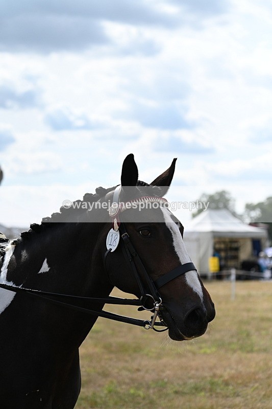 WJ7_6166 - Class 13 Ridden Veterans
