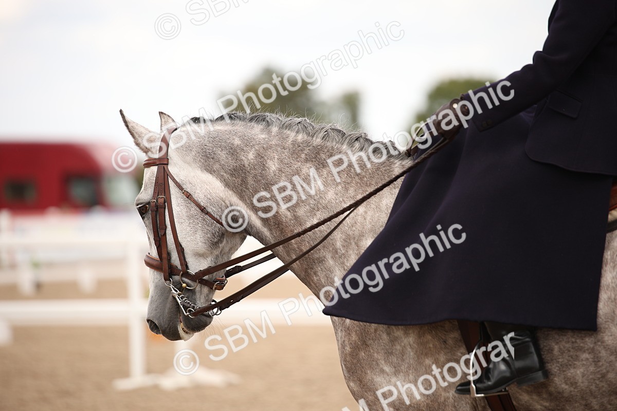 SBM_05303 - Class 22 SSA Equitation