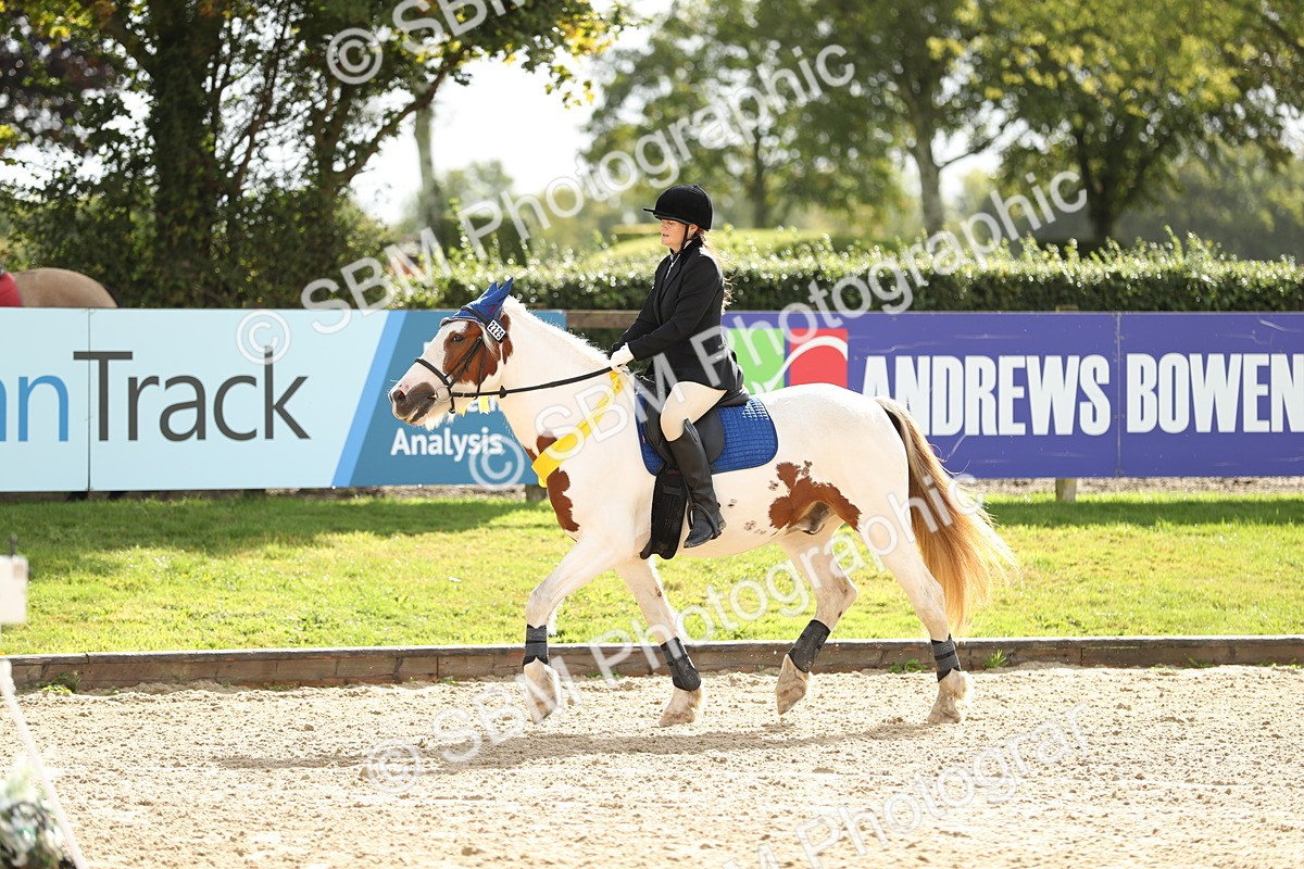 SBM_02057 - J34 - Veteran Rider 50cm