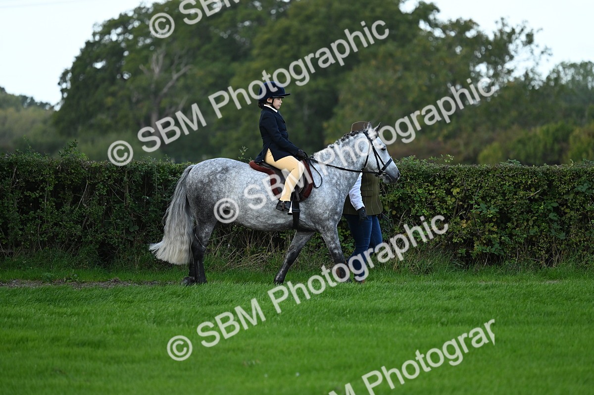 SBM_02540 - S3 - TSR Ridden Pony Showing