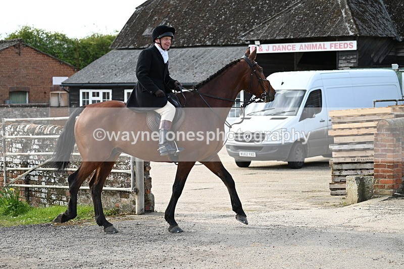 WJ7_9965 - Walk Home