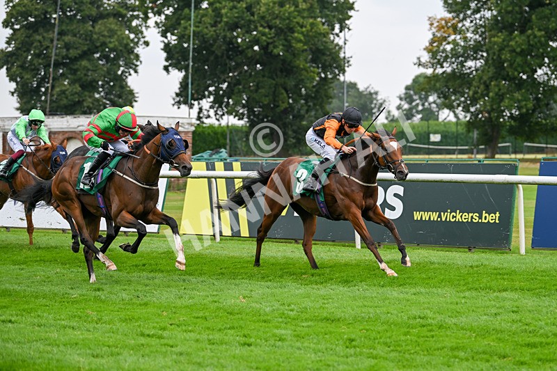 070924-Race 2-Cymbidium-7157 - Race 2