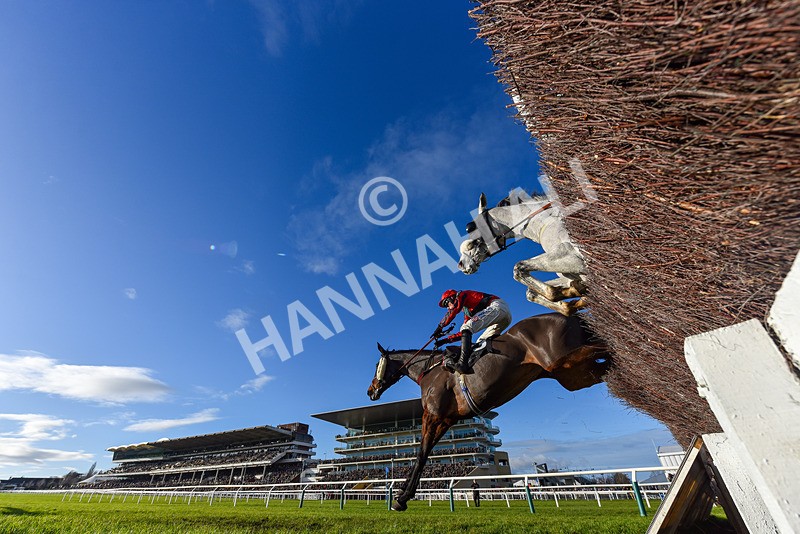 141224-Race 3-Game On For Glory-9356 - Race 3