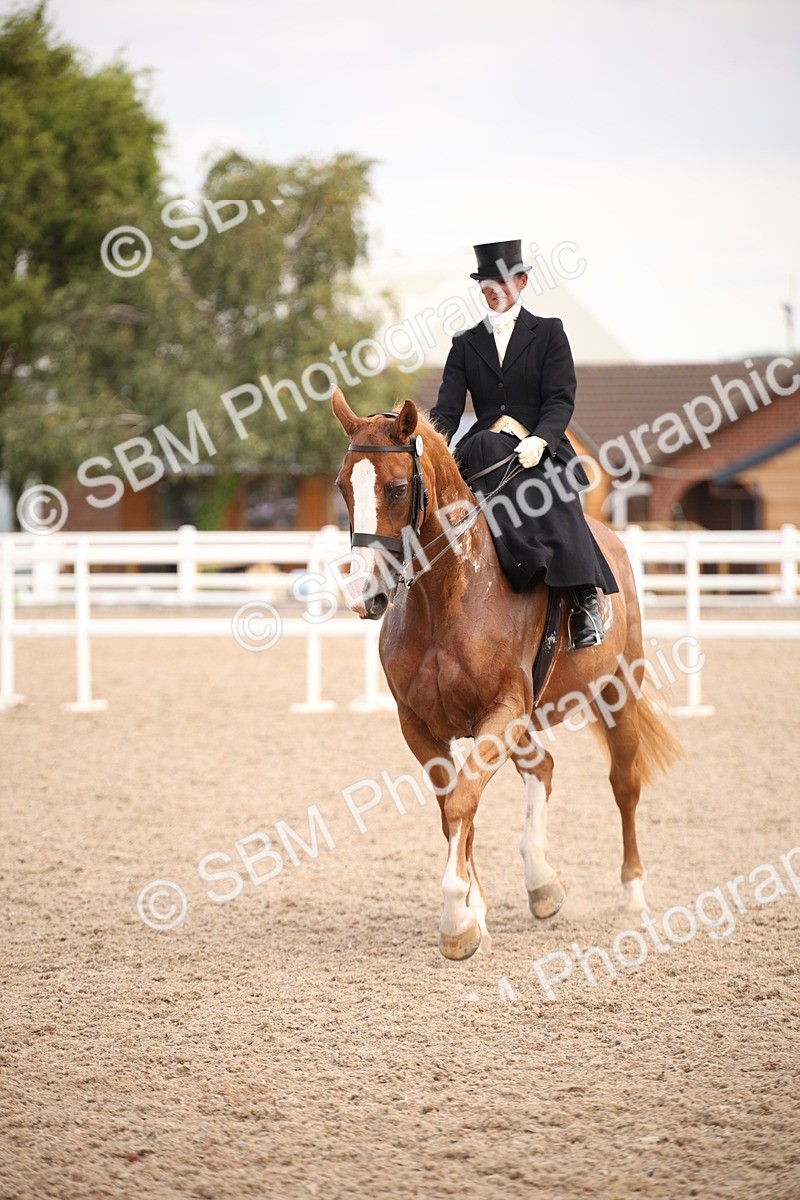 SBM_06654 - Class 23 SSA Classical