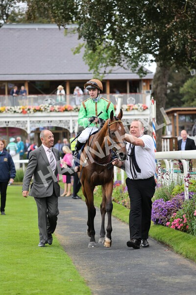 yr24092021r3-36 - Race 3 2.40pm WilliamHill.com Best Odds Guaranteed Stakes