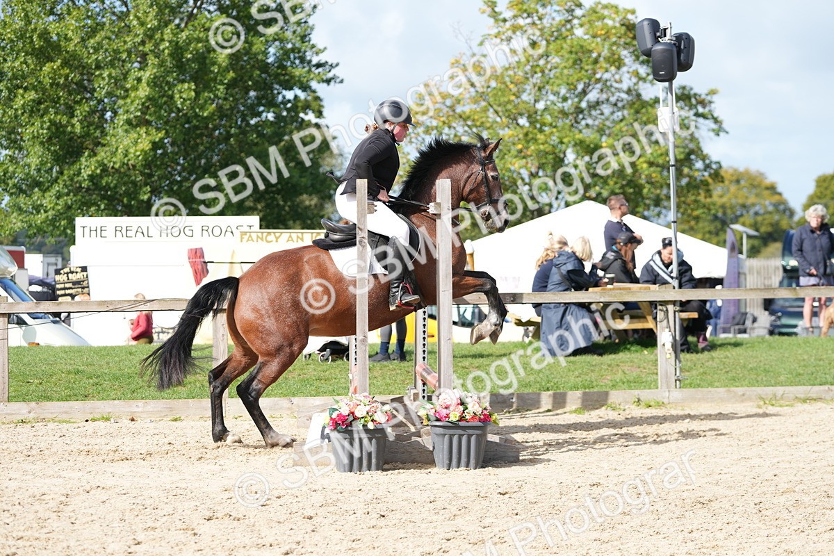 SBM_17766 - J58 - Clear Round 50cm