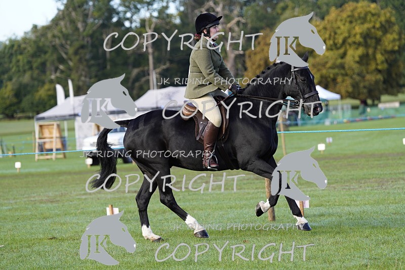 _DSC9345 - Class 8 & 17 Ridden Hunter & Ridden Hunter Pony
