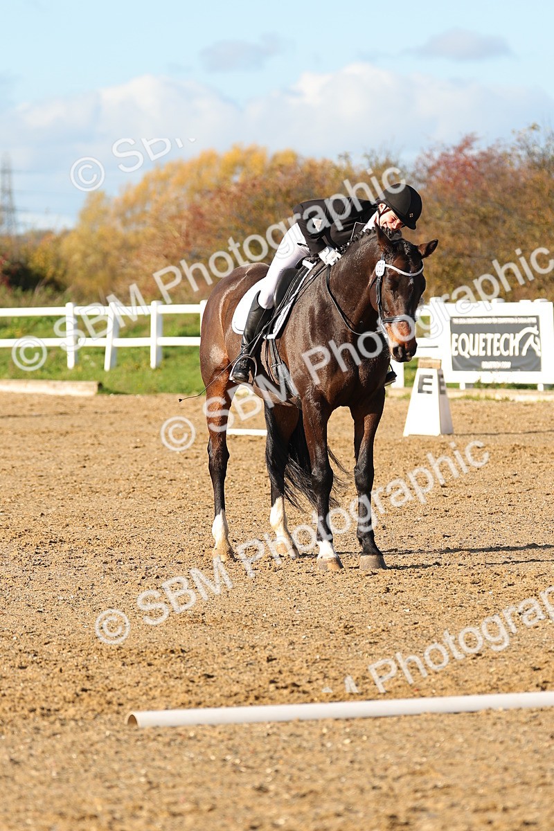 SBM_001490 - Medium 3