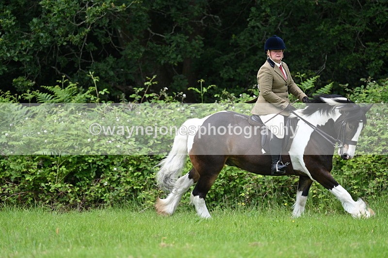 WJ7_2375 - Class 12A Coloured Class