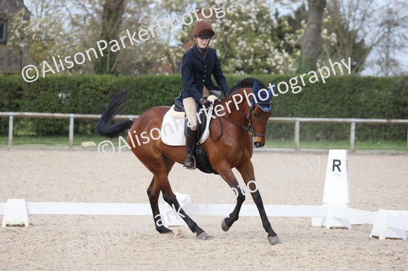 20260404-0995 - Class 6 - Novice 3